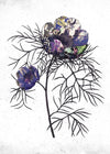 Botanical 6 White Rose Print