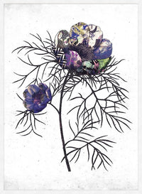 Botanical 6 White Rose Print