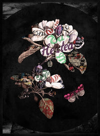 Botanical 7 Floral Black Typography Print