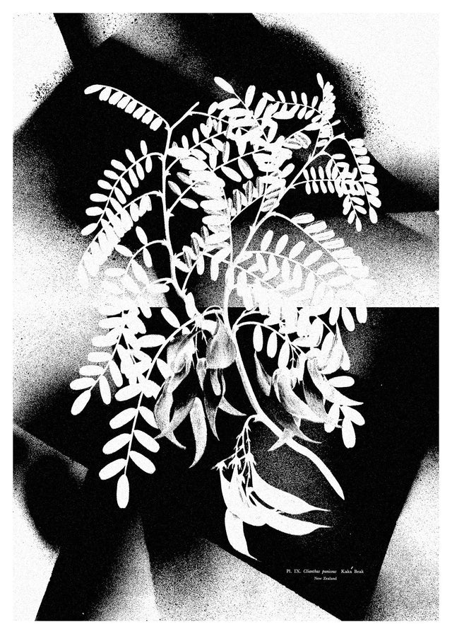 Botanical 8 Floral Spray Print