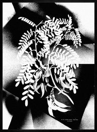 Botanical 8 Floral Spray Print