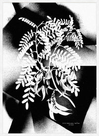 Botanical 8 Floral Spray Print