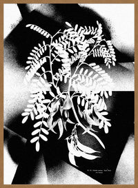 Botanical 8 Floral Spray Print