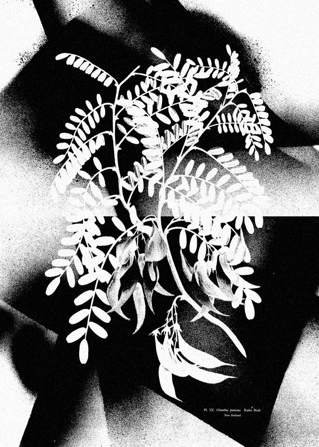 Botanical 8 Floral Spray Print