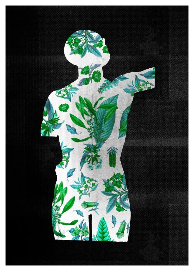Botanical Anatomy Green Print
