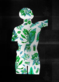 Botanical Anatomy Green Print