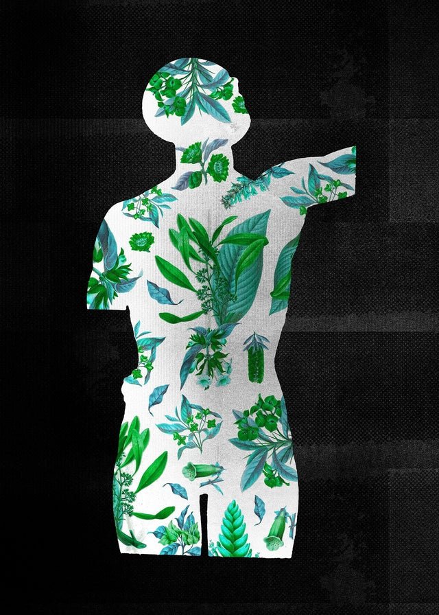 Botanical Anatomy Green Print