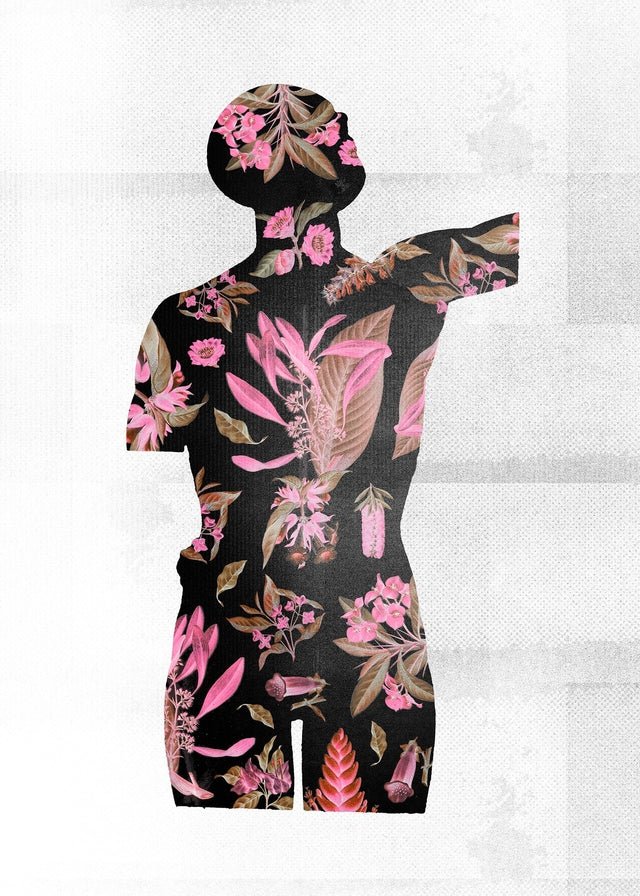 Botanical Anatomy Pink Print