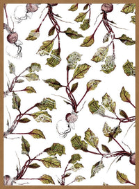 Botanical Beetroot Print