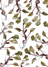 Botanical Beetroot Print