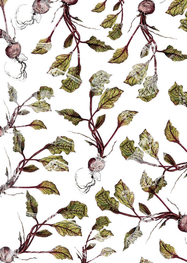 Botanical Beetroot Print
