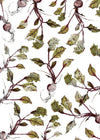 Botanical Beetroot Print