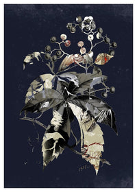 Botanical Leaves Navy Print