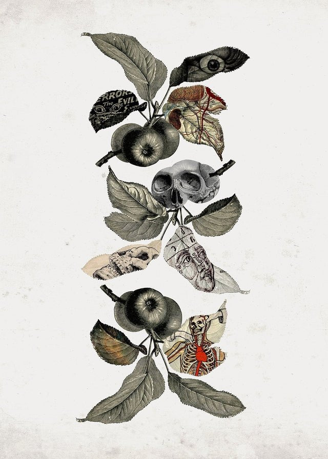 Botanical Skulls Print