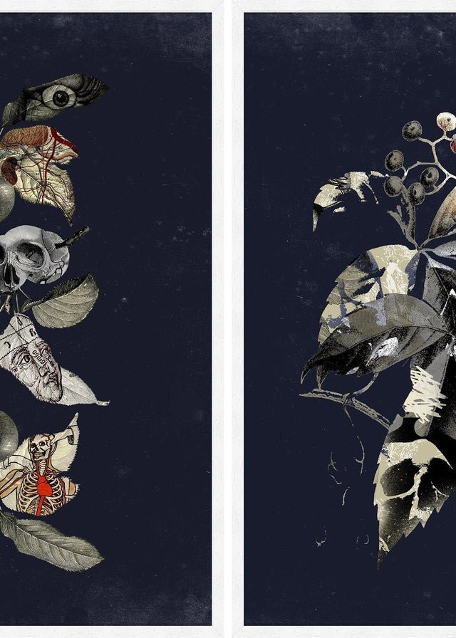 Botanical Skulls Print Bundle