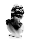 Bust 1 Black and White Print