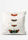 VIntage Butterflys Cushion