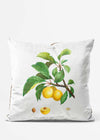 Vintage Plum Illustration Cushion