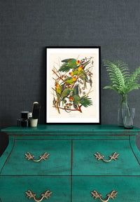 Carolina Parrot Vintage Bird Print