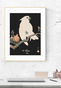 Cockatoo Parrot Antique Japanese Print