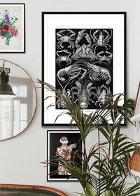 Crabs Black & White Illustration Print