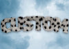 Dalmation Fur Style Blue Sky Personalised Name Print