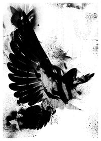 Dove Graffiti Print