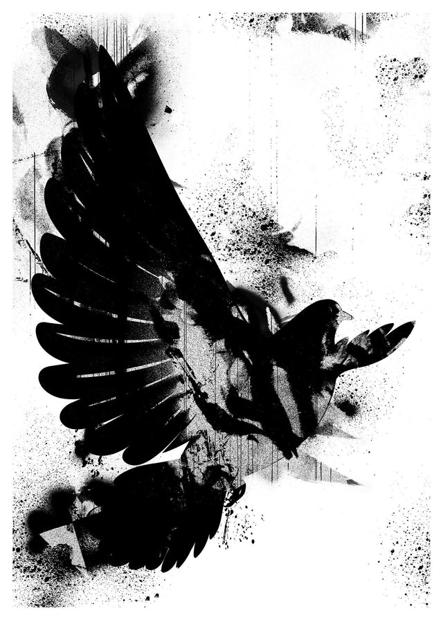Dove Graffiti Print
