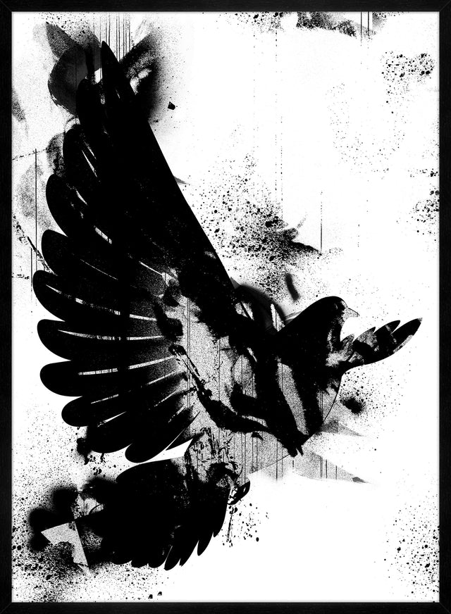 Dove Graffiti Print