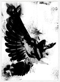 Dove Graffiti Print