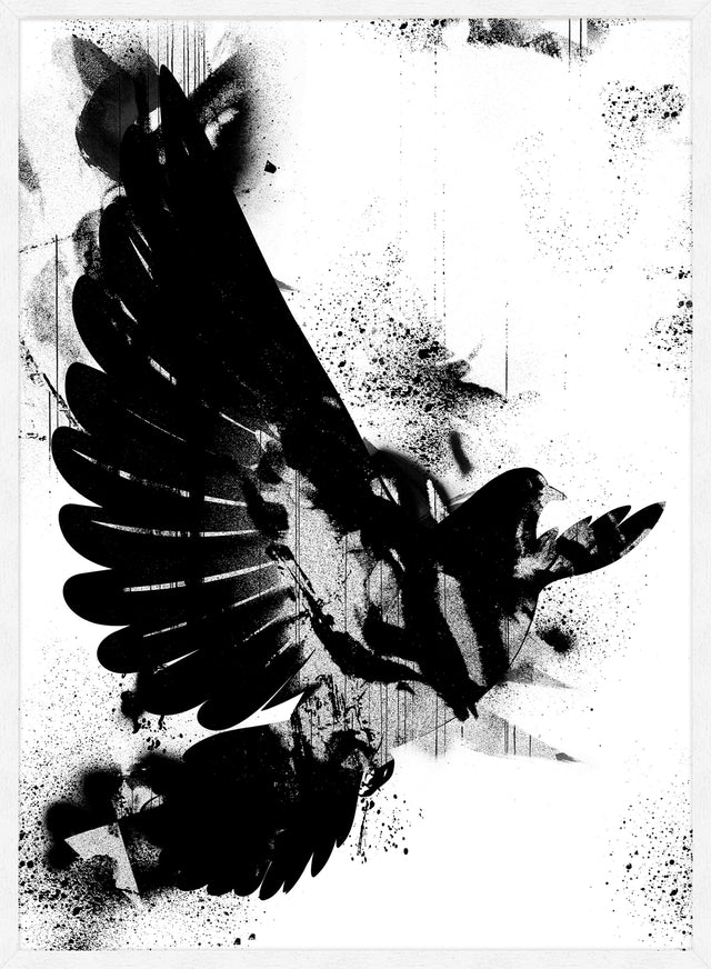 Dove Graffiti Print