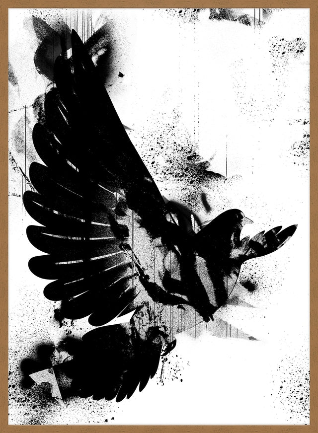 Dove Graffiti Print