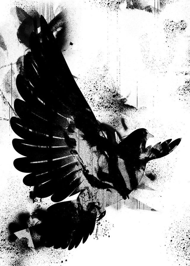 Dove Graffiti Print