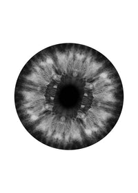 Eyeball Black And White Print