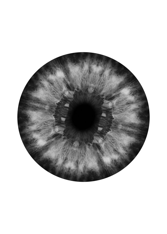 Eyeball Black And White Print