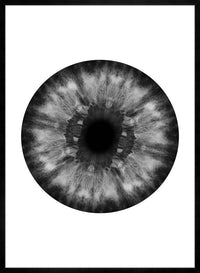 Eyeball Black And White Print