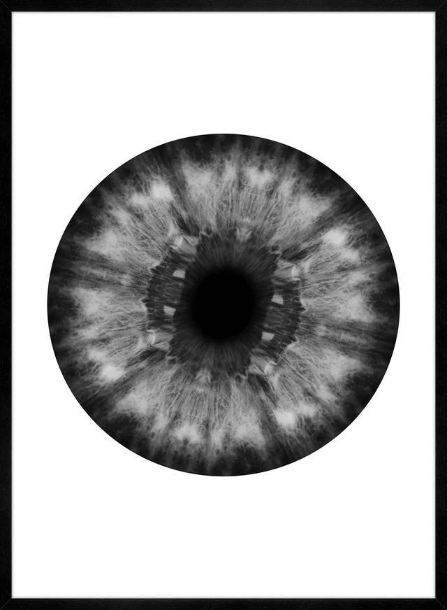 Eyeball Black And White Print