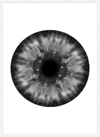 Eyeball Black And White Print