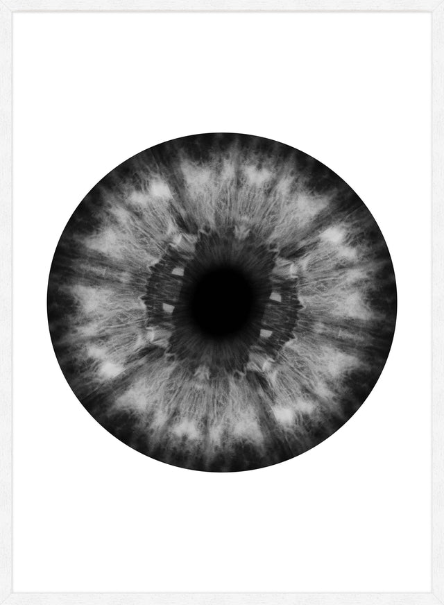 Eyeball Black And White Print