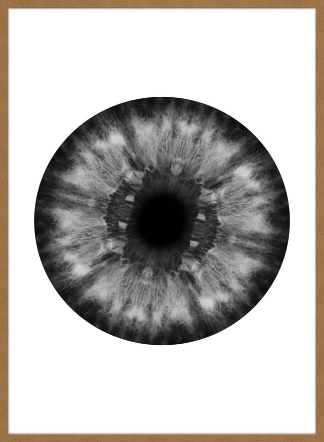 Eyeball Black And White Print