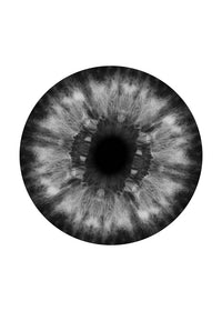 Eyeball Black And White Print