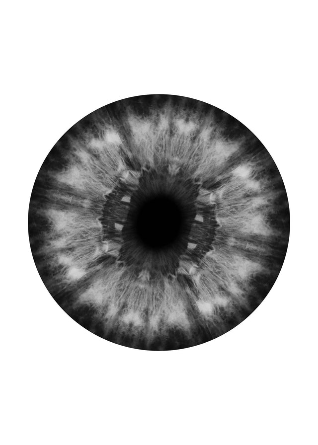 Eyeball Black And White Print