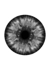 Eyeball Black And White Print