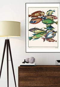 Fish 2 Vintage Antique Print