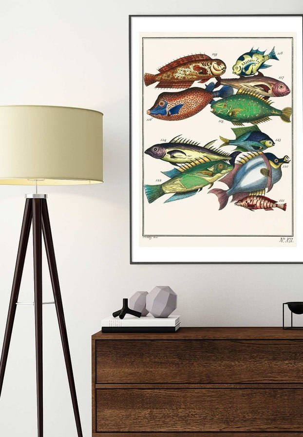 Fish 2 Vintage Antique Print
