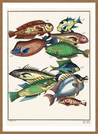 Fish 2 Vintage Antique Print