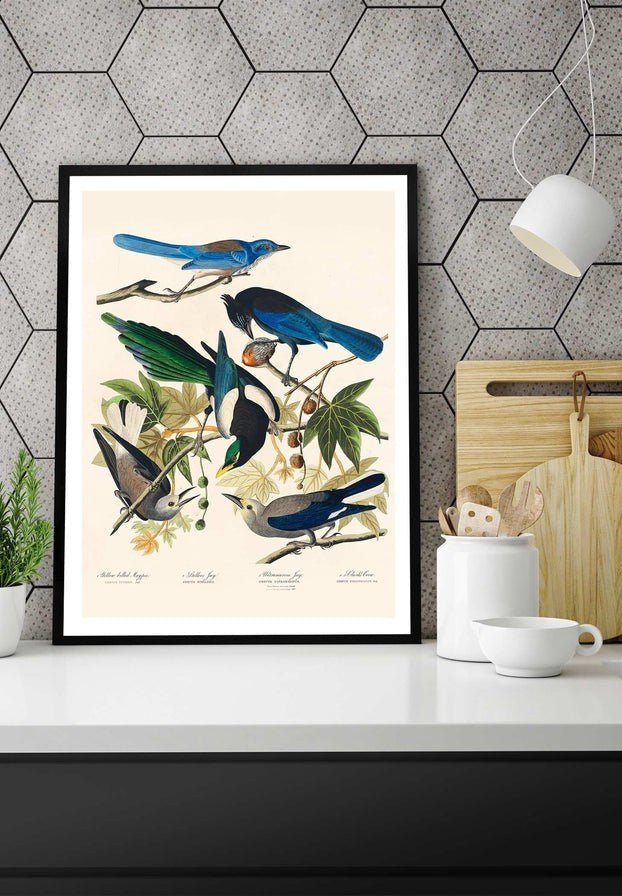 Five Birds Vintage Bird Print