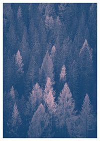 Forest Pink and Blue Print