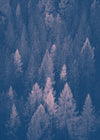 Forest Pink and Blue Print