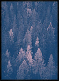 Forest Pink and Blue Print